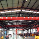 Electric Overhead Cranes