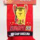 Scarves