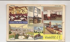 Postcard - O'Donnell's Sea Grill Restaurant Washington DC 1950s - Art Colortone