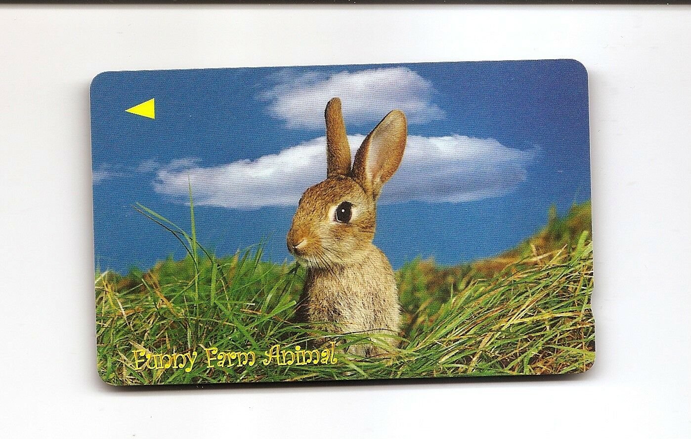 SINGAPORE Telephone card $10 SingTel International - Bunny Rabbit USED NO VALUE