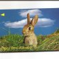 SINGAPORE Telephone card $10 SingTel International - Bunny Rabbit USED NO VALUE