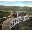 Mt Lowe Circular Bridge Trolley PacEl Railway Los Angeles California postcard