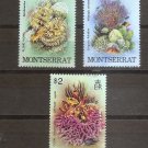 MONTSERRAT Ocean Life / Coral 1981 Set of 3 Scott 431-34 SG 453-55 MNH