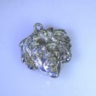 exquisitenessstar Silver Fashion Women Jewelry Gems Charm pendant SCHARTMP-41