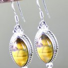 rapturous Silver Fashion Women Jewelry Gems Earring SETEMP-36