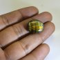 Tiger Eye loose Stone 1 Pieces 16 x 19 mm Round Black cabochon Gemstone