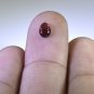 Garnet loose Stone 1 Pieces 8 x 5 mm Pear Red cabochon Gemstone