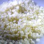 faux pearl loose Stone 10 Pieces 4 x 4 mm Round Off-white cabochon Gemstone