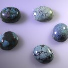 Turquoise loose Stone 1 Pieces 10 x 12 mm Oval multi cabochon Gemstone