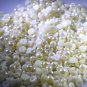 faux pearl loose Stone 10 Pieces 5 x 5 mm Round Off-white cabochon Gemstone