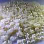 faux pearl loose Stone 10 Pieces 6 x 6 mm Round Off-white cabochon Gemstone