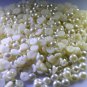 faux pearl loose Stone 10 Pieces 6 x 6 mm Round Off-white cabochon Gemstone