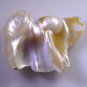 Pearl loose Stone 1 Pieces free size Fancy White cabochon Gemstone