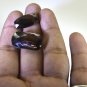 Smoky Quartz loose Stone 1 Pieces 11x20,14x26 mm Emerald cut Brown faceted Gems
