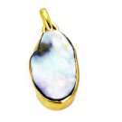 Riyogems Abalone Shell Gold Plated Costume Party Pendant L 1.5in Gppshe-72029