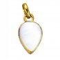 Riyogems Shell Pearl 18-Kt Y Gold Plated Journey Pendants L 1in Gppshe-72002