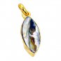Riyogems Abalone Shell 18k Gold Plated Dragonfly Pendant L 1.5in Gppshe-72026