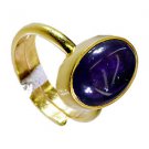 Amethyst Gold Plated Indian Sovereign Ring