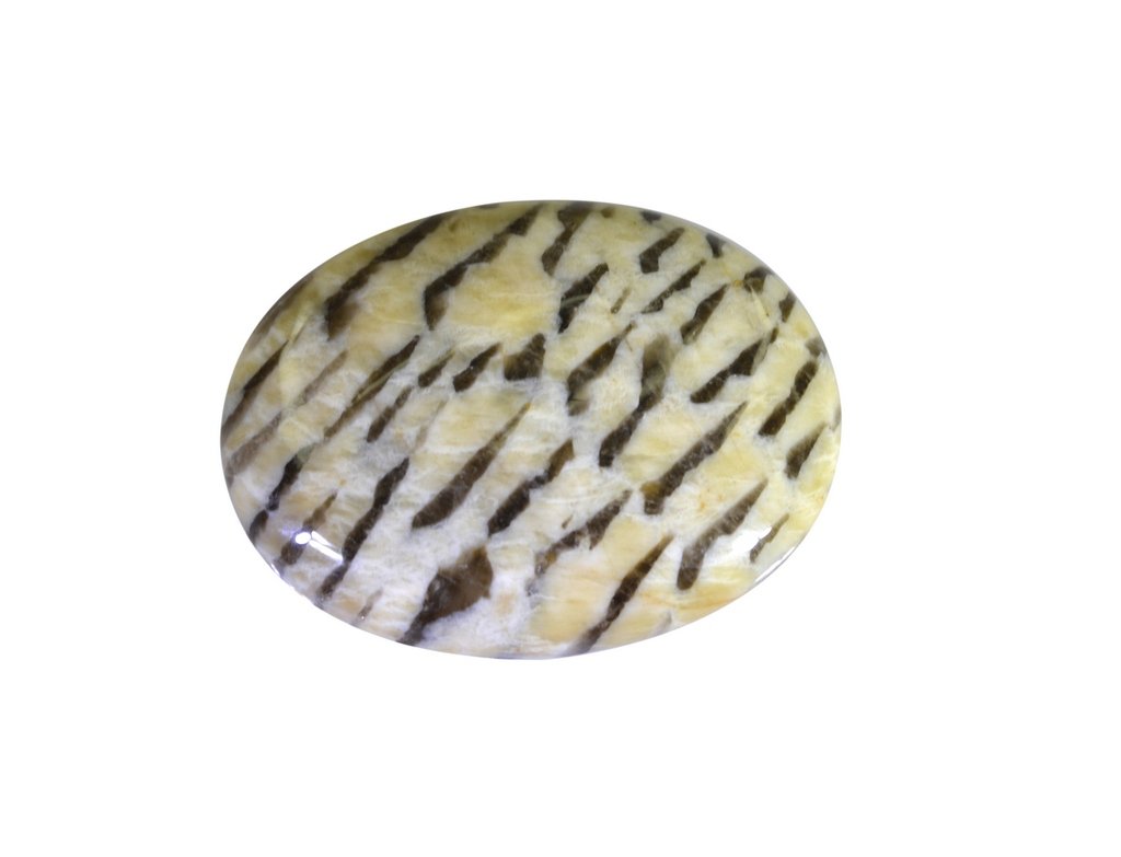 Riyo Quality AA Zebra Jasper Multicolored cabochon Gemstone
