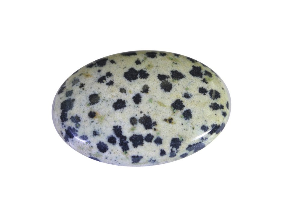Riyo Quality AA dalmation jasper Multicolored cabochon Gemstone