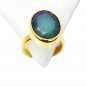 Riyo Indi Emerald 18kt Gold Plated Finger Armor Ring Sz 8 Gpriem8-32016