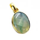 Riyogems Prehnite Plated Gold Jewelry Lion Pendants L 1.5in Gpppre-60003