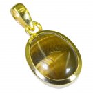 bewitching Tiger Eye Gold Plated Brown Pendant Fashion common US