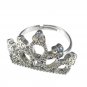 Disney Store Japan UniBEARsity The Hany Wedding Ring