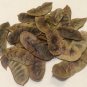 1 oz. Senna Pods (Senna alexandrina) Organic & Kosher India