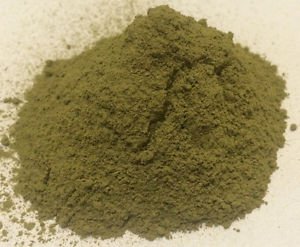 1 oz. Witch Hazel Leaf Powder (Hamamelis virginiana) Organic & Kosher USA