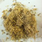 1oz Wild Indigo Root (Baptisia tinctoria) Wildharvested & Kosher USA