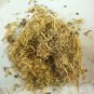 1oz Wild Indigo Root (Baptisia tinctoria) Wildharvested & Kosher USA