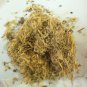 1oz Wild Indigo Root (Baptisia tinctoria) Wildharvested & Kosher USA