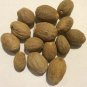 1 oz. Nutmeg Whole (Myristica fragrans) Organic & Kosher India