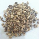 1oz Calamus Root Organic & Kosher Poland (Acorus Calamus)