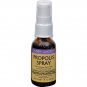 Honey Gardens Apiaries Propolis Spray - 1 oz