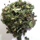 Calea Zacatechichi (Mexican Dream Herb) Wildharvested Mexico 2 oz. - 1 kg.