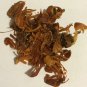 1 oz. Mace (Myristica fragrans) Whole Organic & Kosher India