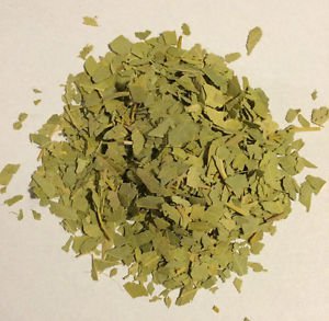 1 oz. Eucalyptus Leaf (Eucalyptus globulus) Organic & Kosher India