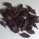 14 grams Indian Warrior Flowers (Pedicularis Densiflora) Wildharvested USA