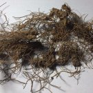 1 oz. Goldenseal Root (Hydrastis canadensis) Wildharvested (USA)
