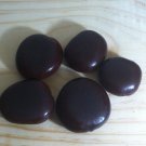 1 Seed Entada Rheedii Seeds African Dream Beans Wildharvested