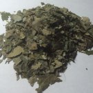 1oz. Sassafras Leaf (Sassafras albidum) Wildharvested & Kosher USA
