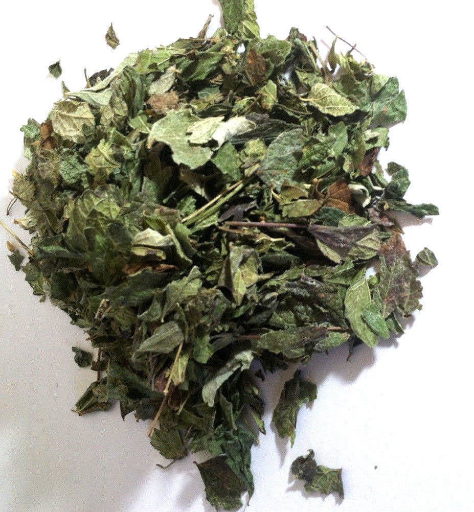 1 oz. Calea Zacatechichi (Mexican Dream Herb) Wildharvested Mexico