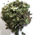 1 oz. Calea Zacatechichi (Mexican Dream Herb) Wildharvested Mexico