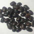 8 oz. Raw Mucuna Pruriens Seeds Velvet Bean Wildharvested India