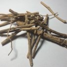 7 Grams Silene Capensis Xhosa Wildharvested (South Africa)