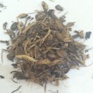 1 oz. Yellow Dock Root (Rumex crispus) Organic & Kosher  USA