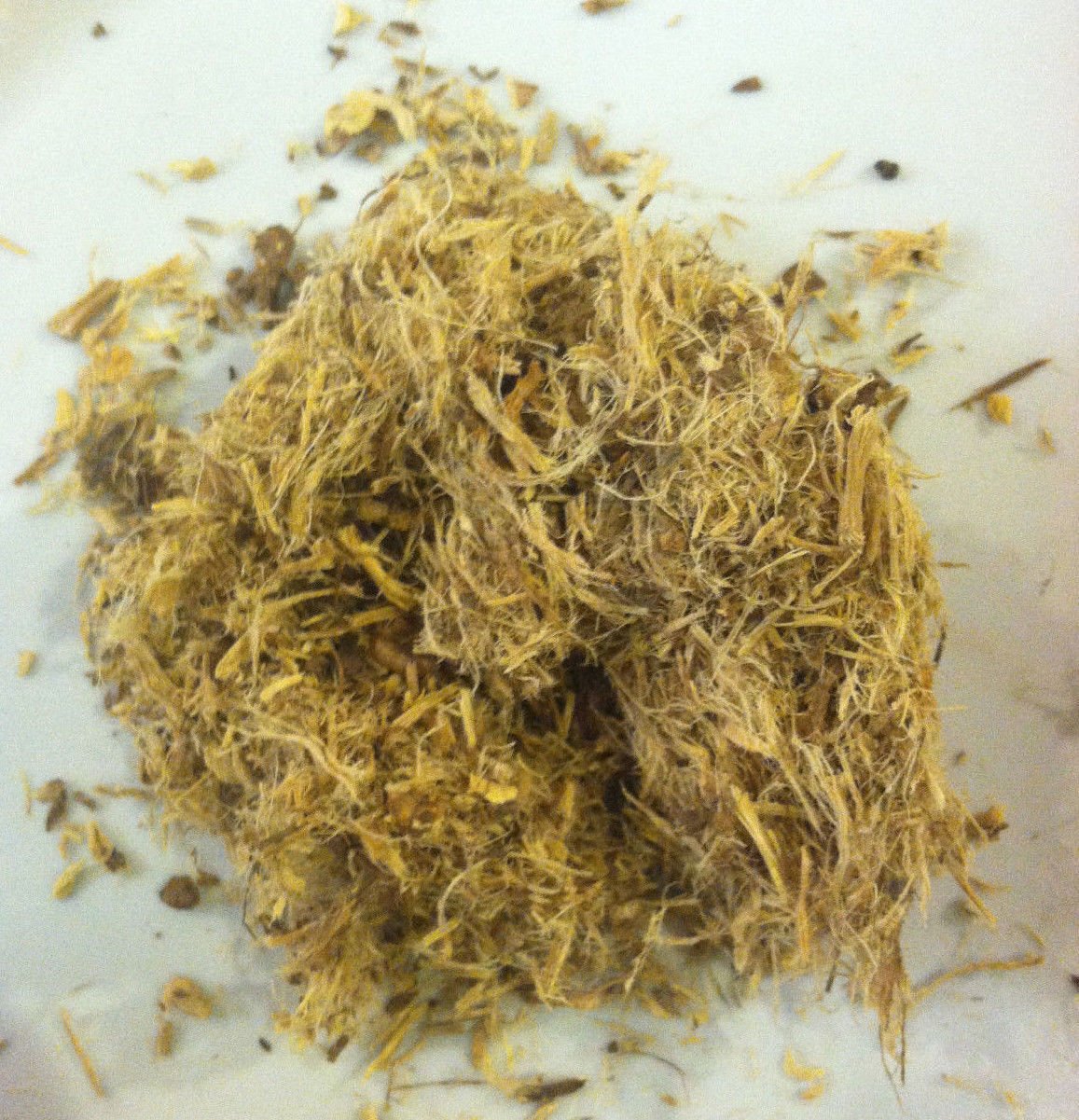1 oz. Wild Indigo Root (Baptisia tinctoria) Wildharvested & Kosher USA