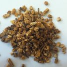 1 oz. Dong Quai (Angelica sinensis) Organic & Kosher USA